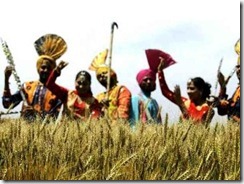 baisakhi-celebrations