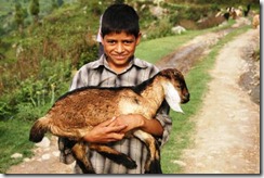 child-with-goat