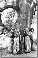 Chipko