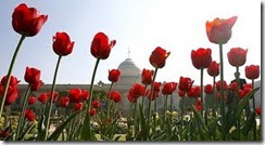 mugha-garden-delhi