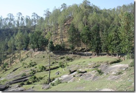 pahad-beautiful-forest